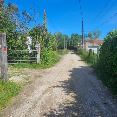 Studio En Camargue Arles Ngoại thất bức ảnh