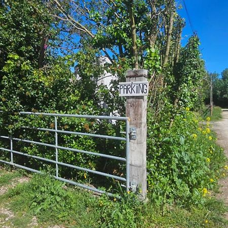 Studio En Camargue Arles Ngoại thất bức ảnh