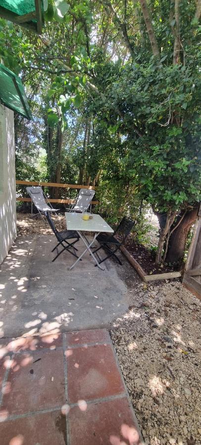 Studio En Camargue Arles Ngoại thất bức ảnh